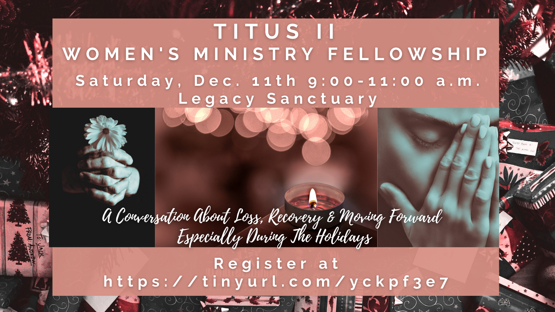 Titus II Women Ministry Fellowship head image