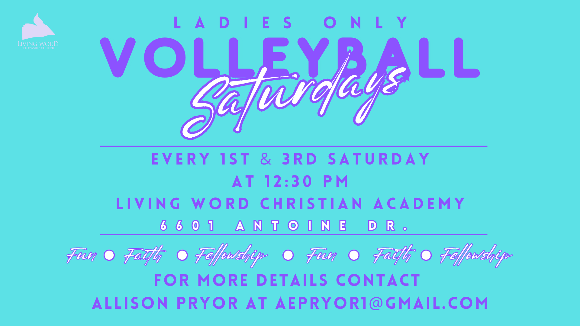 VOLLEYBALL SATURDAYS FOR LADIES head image