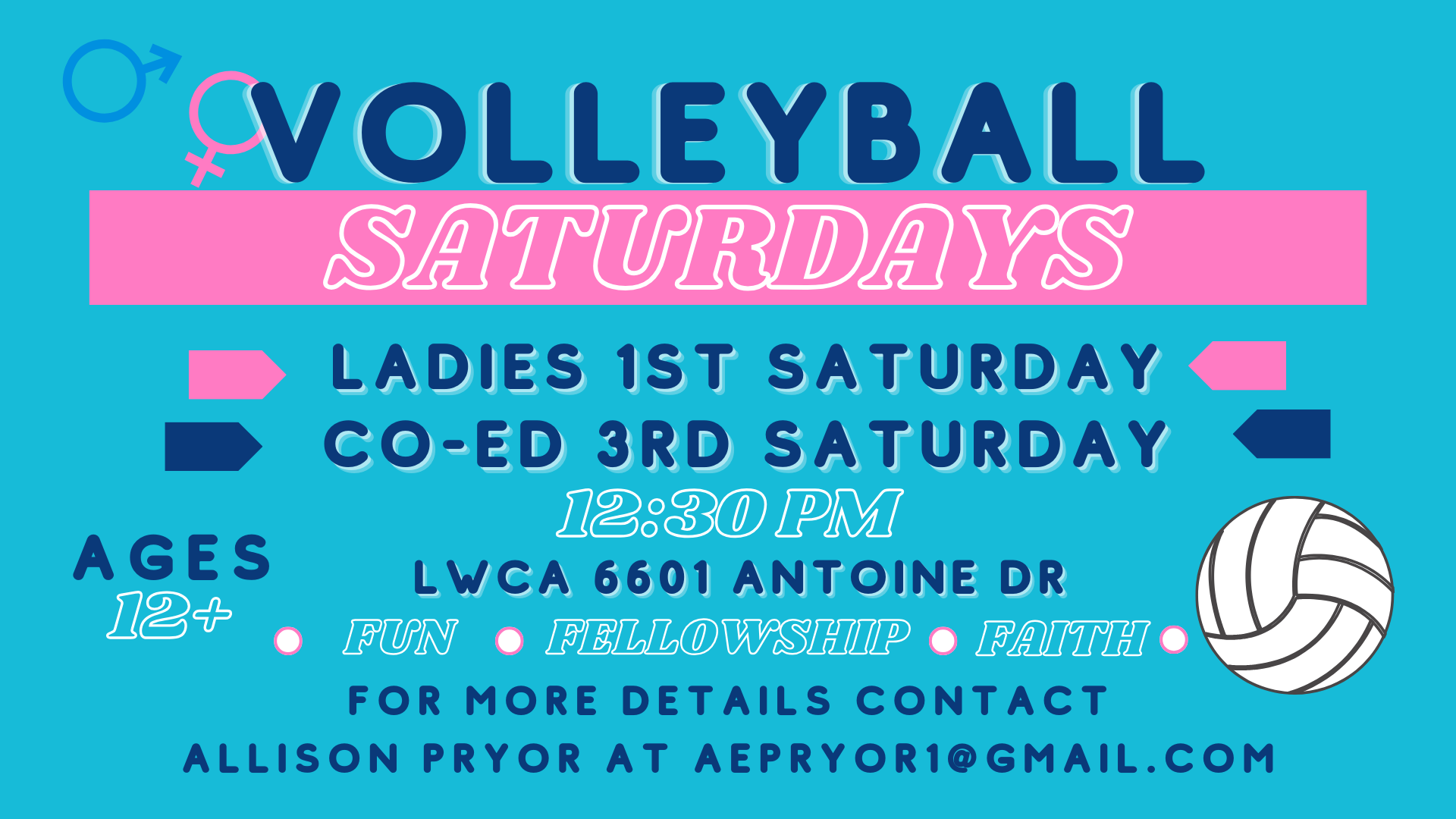 VOLLEYBALL SATURDAYS head image