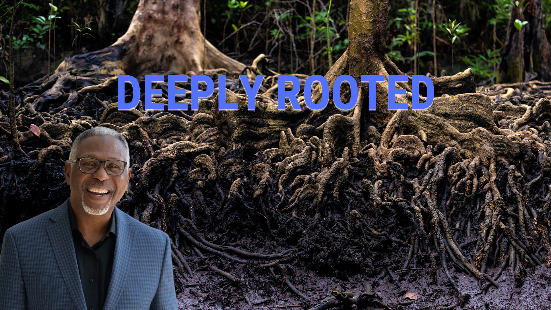 Deeply Rooted blog featured image