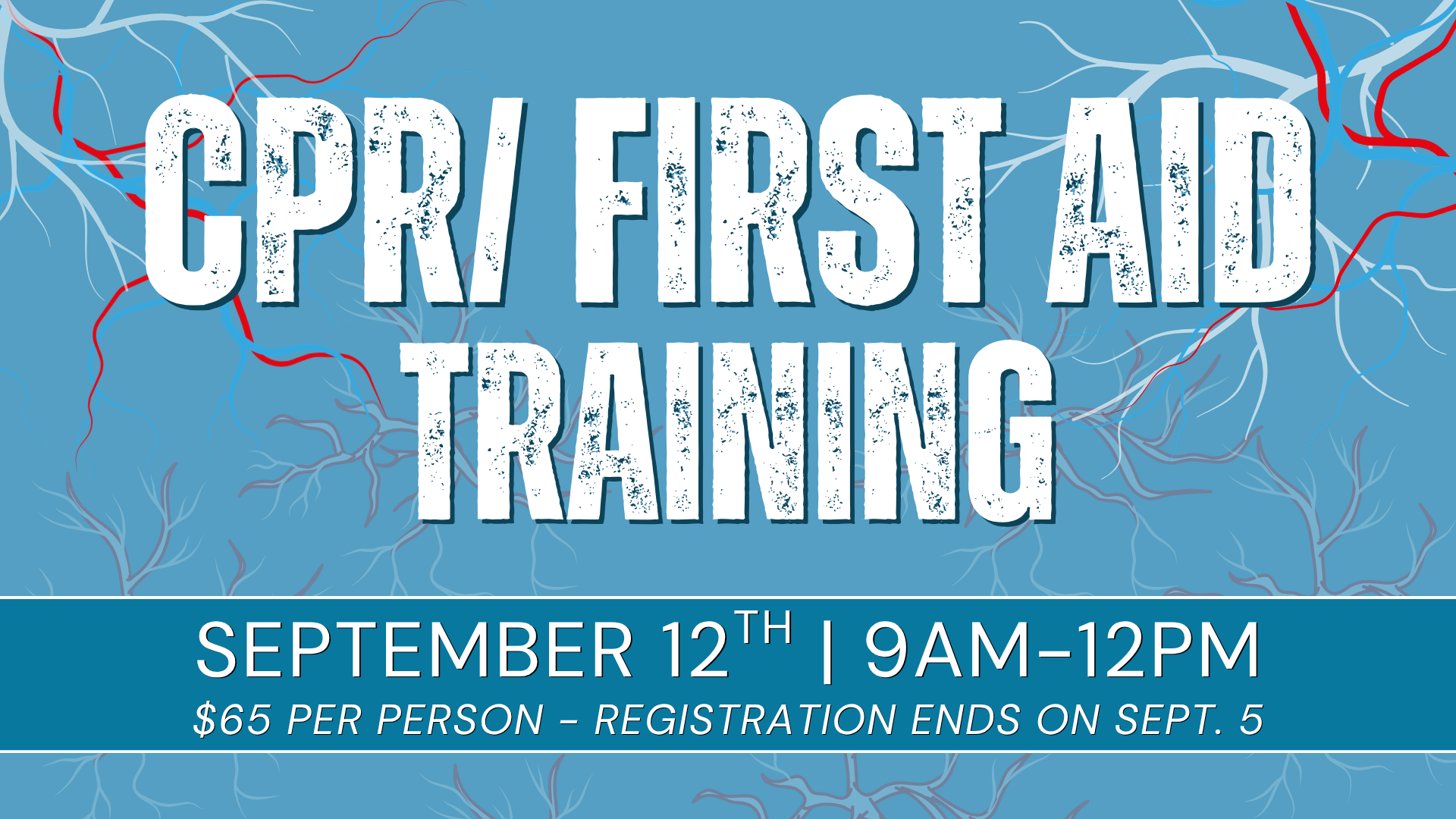 CPR/First Aid Training head image